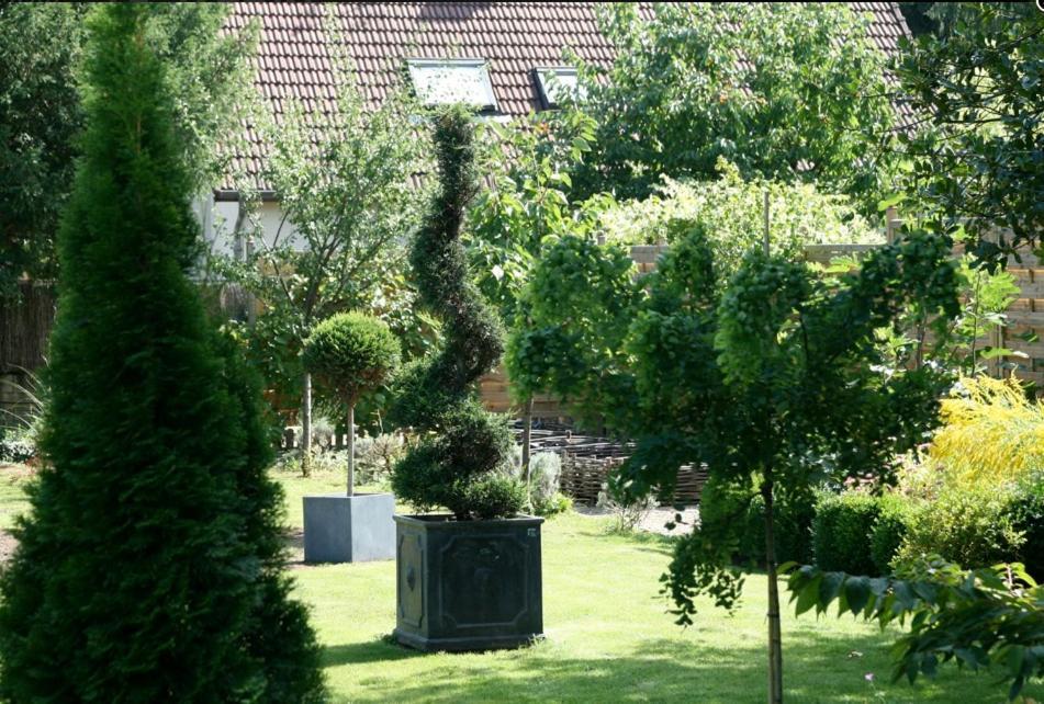 Bed & Breakfast D'hotes La Molina