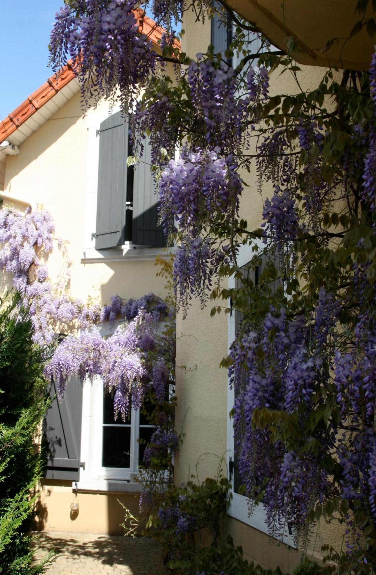 Bed & Breakfast D'hotes La Molina Besançon